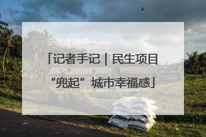 记者手记｜民生项目“兜起”城市幸福感