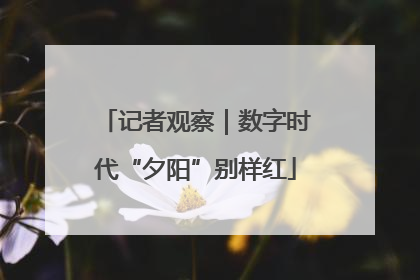 记者观察｜数字时代“夕阳”别样红
