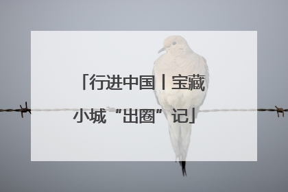行进中国丨宝藏小城“出圈”记