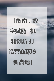 衡南：数字赋能+机制创新 打造营商环境新高地