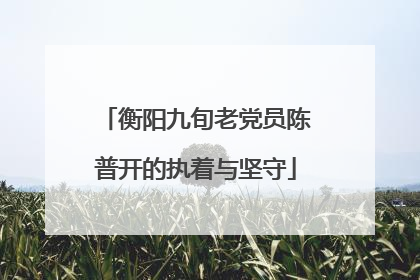 衡阳九旬老党员陈普开的执着与坚守