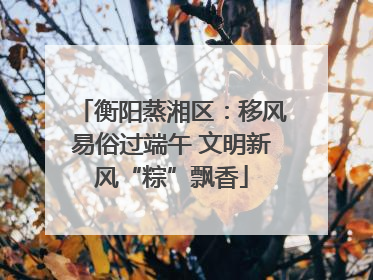 衡阳蒸湘区：移风易俗过端午 文明新风“粽”飘香
