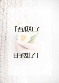 西瓜红了 日子甜了
