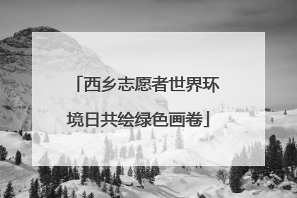 西乡志愿者世界环境日共绘绿色画卷