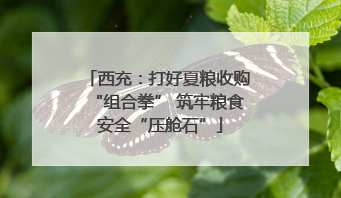 西充：打好夏粮收购“组合拳” 筑牢粮食安全“压舱石”