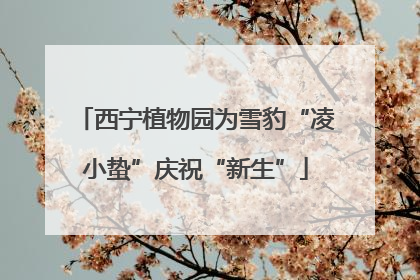 西宁植物园为雪豹“凌小蛰”庆祝“新生”