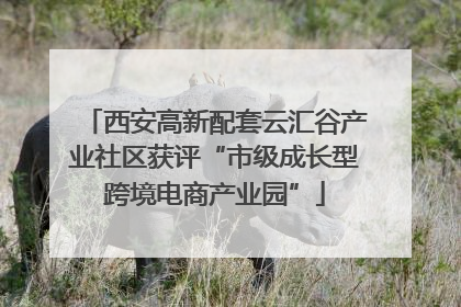 西安高新配套云汇谷产业社区获评“市级成长型跨境电商产业园”