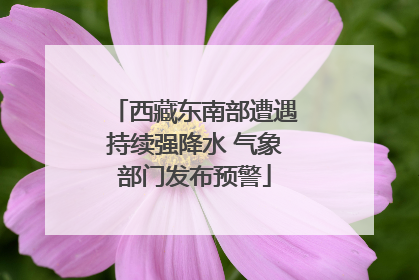 西藏东南部遭遇持续强降水 气象部门发布预警