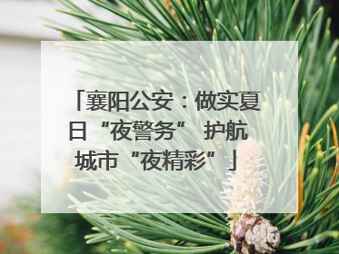 襄阳公安：做实夏日“夜警务” 护航城市“夜精彩”