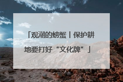 观潮的螃蟹丨保护耕地要打好“文化牌”