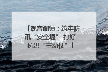 观音阁镇：筑牢防汛“安全堤” 打好抗洪“主动仗”