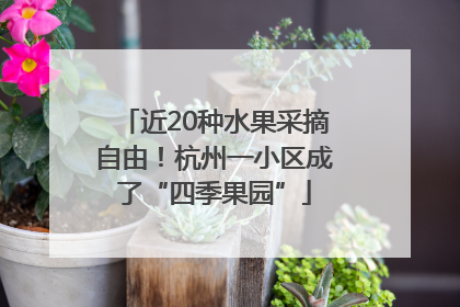 近20种水果采摘自由！杭州一小区成了“四季果园”