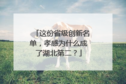 这份省级创新名单，孝感为什么成了湖北第二？
