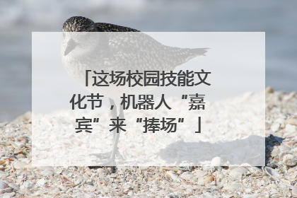 这场校园技能文化节，机器人“嘉宾”来“捧场”