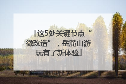 这5处关键节点“微改造”，岳麓山游玩有了新体验
