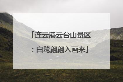 连云港云台山景区：白鹭翩翩入画来