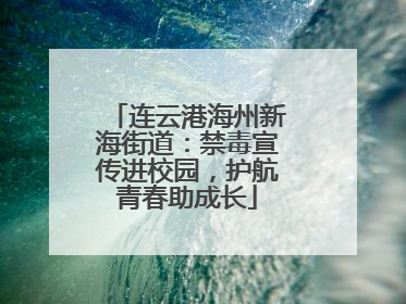 连云港海州新海街道：禁毒宣传进校园，护航青春助成长