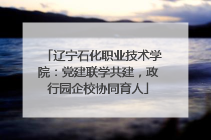 辽宁石化职业技术学院：党建联学共建，政行园企校协同育人