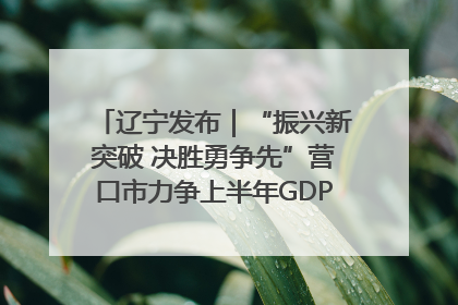 辽宁发布｜“振兴新突破 决胜勇争先”营口市力争上半年GDP增长6%左右