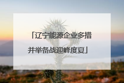 辽宁能源企业多措并举备战迎峰度夏