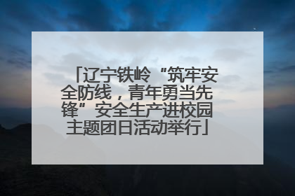 辽宁铁岭“筑牢安全防线，青年勇当先锋”安全生产进校园主题团日活动举行