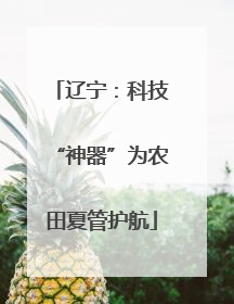 辽宁：科技“神器”为农田夏管护航