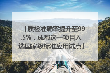 质检准确率提升至99.5%，成都这一项目入选国家级标准应用试点