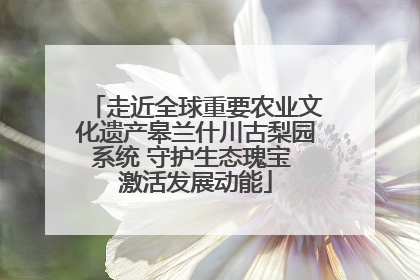 走近全球重要农业文化遗产皋兰什川古梨园系统 守护生态瑰宝 激活发展动能