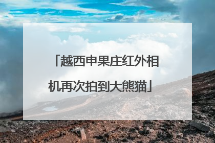 越西申果庄红外相机再次拍到大熊猫
