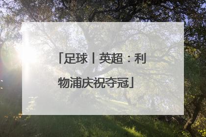 足球丨英超：利物浦庆祝夺冠