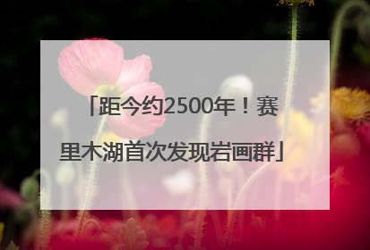 距今约2500年！赛里木湖首次发现岩画群