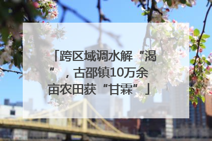 跨区域调水解“渴”，古邵镇10万余亩农田获“甘霖”