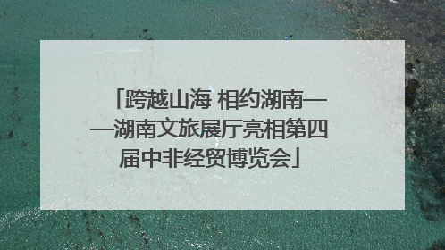 跨越山海 相约湖南——湖南文旅展厅亮相第四届中非经贸博览会