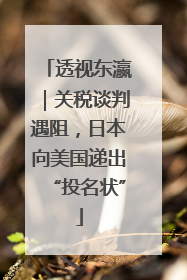 透视东瀛｜关税谈判遇阻，日本向美国递出“投名状”