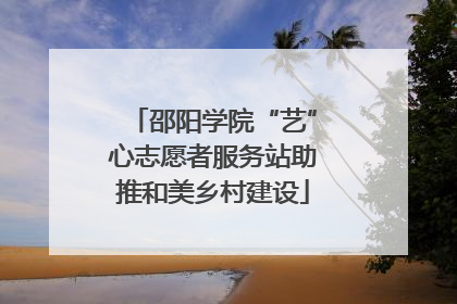 邵阳学院“艺”心志愿者服务站助推和美乡村建设