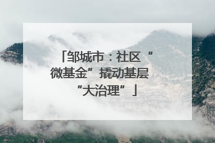 邹城市：社区“微基金”撬动基层“大治理”