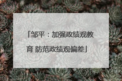 邹平：加强政绩观教育 防范政绩观偏差