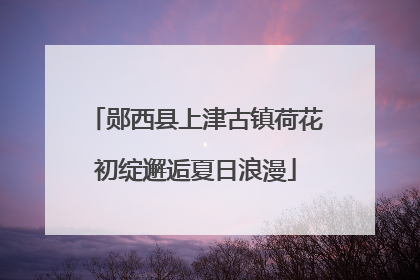 郧西县上津古镇荷花初绽邂逅夏日浪漫