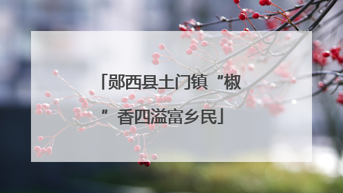 郧西县土门镇“椒”香四溢富乡民
