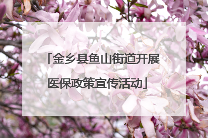 金乡县鱼山街道开展医保政策宣传活动