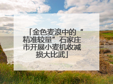 金色麦浪中的“精准较量”石家庄市开展小麦机收减损大比武