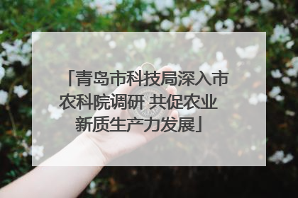 青岛市科技局深入市农科院调研 共促农业新质生产力发展