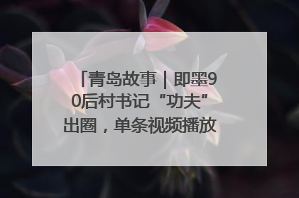 青岛故事｜即墨90后村书记“功夫”出圈，单条视频播放量过600万