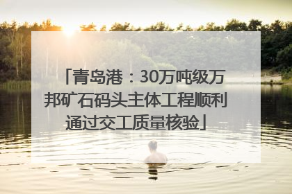 青岛港：30万吨级万邦矿石码头主体工程顺利通过交工质量核验