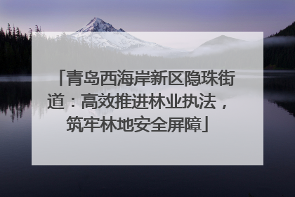 青岛西海岸新区隐珠街道：高效推进林业执法，筑牢林地安全屏障
