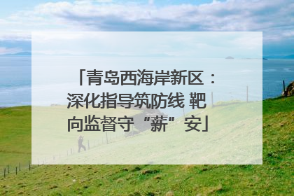 青岛西海岸新区：深化指导筑防线 靶向监督守“薪”安