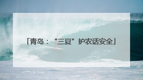 青岛：“三夏”护农话安全