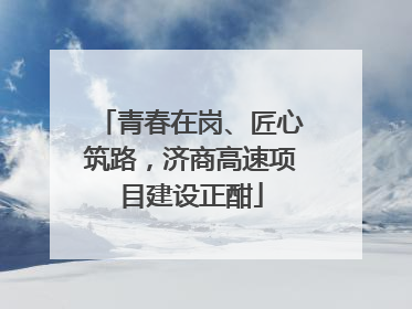 青春在岗、匠心筑路，济商高速项目建设正酣