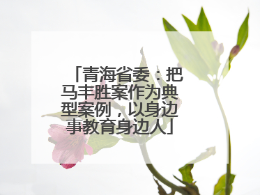 青海省委：把马丰胜案作为典型案例，以身边事教育身边人