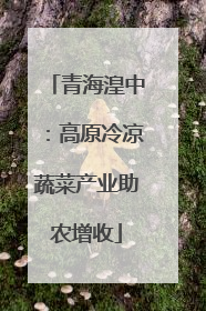 青海湟中：高原冷凉蔬菜产业助农增收